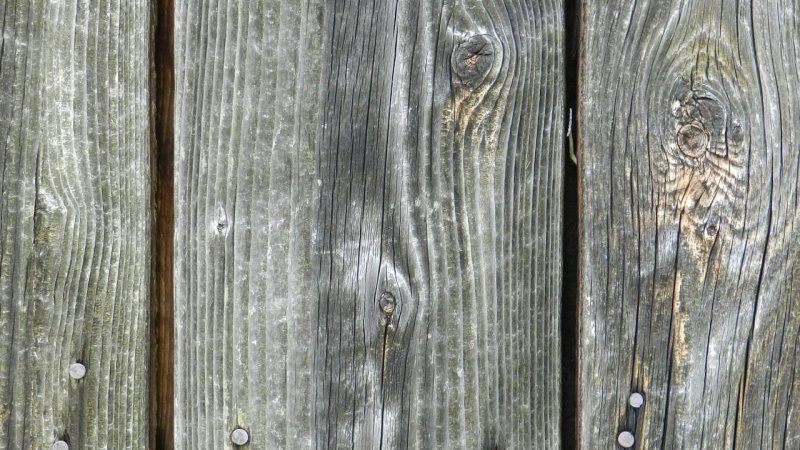 Zdjęcie: Podłogi drewniane i panele – jak wybrać i co zainstalować